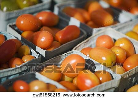 High angle view of tomatoes in containers View Large Photo Image Stock Photography - High angle view of tomatoes in containers. Fotosearch