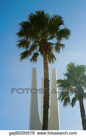 Stock Photo - High section view of a structure behind palm trees, Miami, Florida, USA. Fotosearch