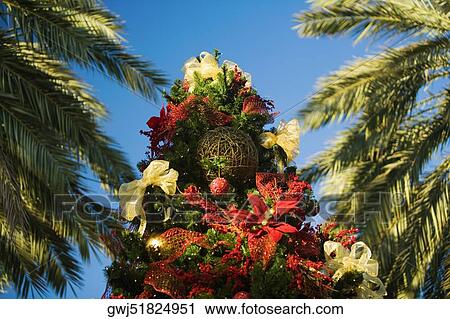 Low angle view of a Christmas tree View Large Photo Image Stock Image - Low angle view of a Christmas tree. Fotosearch