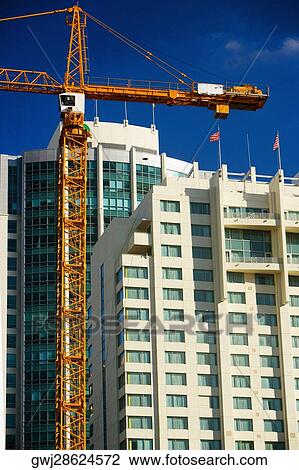 Low angle view of a crane in front of a skyscraper, Miami, Florida, USA View Large Photo Image Stock Image - Low angle view of a crane in front of a skyscraper, Miami, Florida, USA. Fotosearch