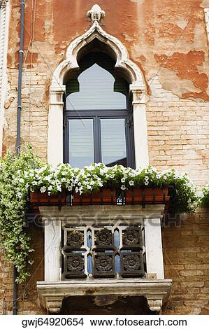 Low angle view of a flowering plant in a balcony View Large Photo Image Picture - Low angle view of a flowering plant in a balcony. Fotosearch