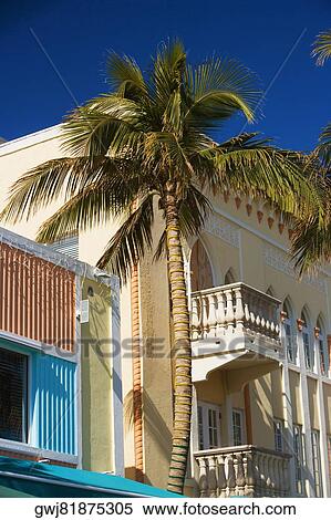 Low angle view of a palm tree in front of a building View Large Photo Image Stock Photography - Low angle view of a palm tree in front of a building. Fotosearch