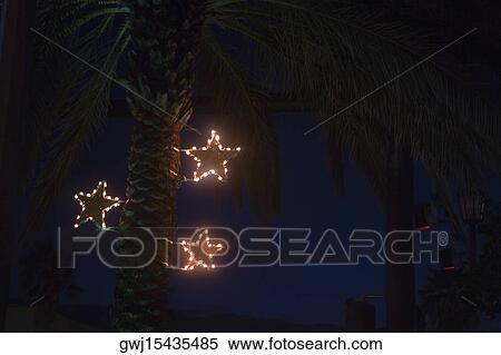 Stock Photography - Low angle view of a palm tree lit up at dusk. Fotosearch