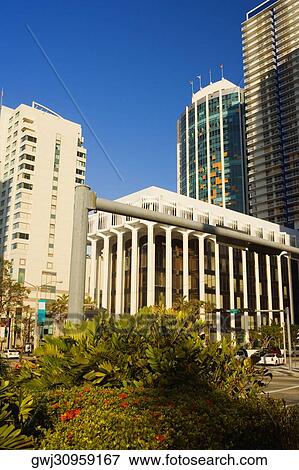 Low angle view of buildings in a city, Miami, Florida, USA View Large Photo Image Stock Photo - Low angle view of buildings in a city, Miami, Florida, USA. Fotosearch