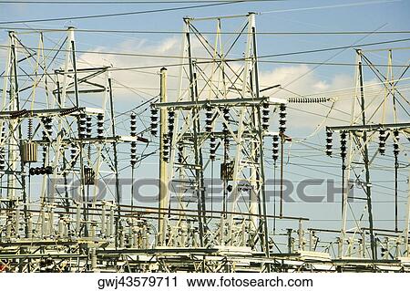 Low angle view of electricity pylons, Miami, Florida, USA View Large Photo Image Stock Image - Low angle view of electricity pylons, Miami, Florida, USA. Fotosearch