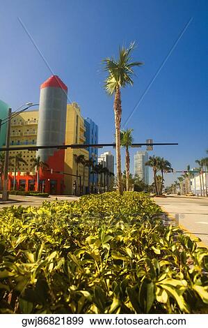 Stock Photo - Low angle view of palm trees in front of buildings, Miami, Florida, USA. Fotosearch