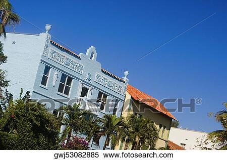 Low angle view of palm trees in front of a building, Miami, Florida, USA View Large Photo Image Stock Photography - Low angle view of palm trees in front of a building, Miami, Florida, USA. Fotosearch