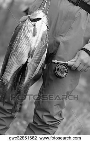 Stock Image - Low section view of a man holding fish. Fotosearch
