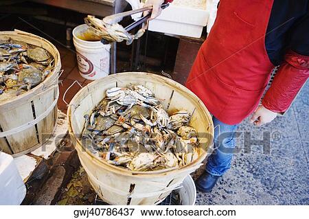 Low section view of a person standing beside a basket full of crabs View Large Photo Image Stock Photo - Low section view of a person standing beside a basket full of crabs. Fotosearch
