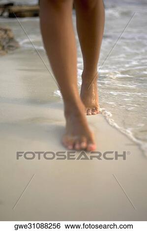 Low section view of a woman walking on the beach View Large Photo Image Stock Photograph - Low section view of a woman walking on the beach. Fotosearch