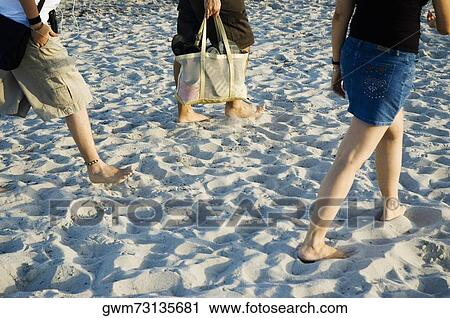 Low section view of two men and a woman walking on the beach View Large Photo Image Stock Image - Low section view of two men and a woman walking on the beach. Fotosearch
