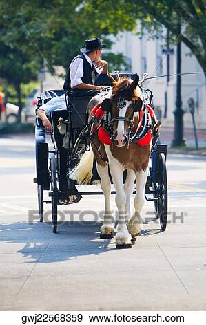 Man riding a horse cart, Savannah, Georgia, USA View Large Photo Image Stock Photo - Man riding a horse cart, Savannah, Georgia, USA. Fotosearch