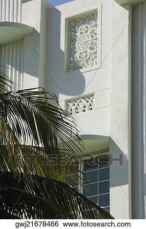 Palm tree on the roadside, Miami, Florida, USA View Large Photo Image Stock Photograph - Palm tree on the roadside, Miami, Florida, USA. Fotosearch