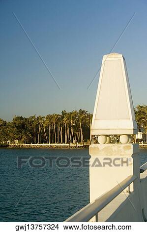 Palm trees along the sea, Miami, Florida, USA View Large Photo Image Picture - Palm trees along the sea, Miami, Florida, USA. Fotosearch