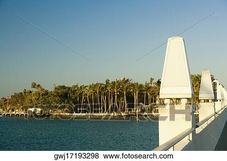 Palm trees along the sea, Miami, Florida, USA View Large Photo Image Stock Photo - Palm trees along the sea, Miami, Florida, USA. Fotosearch