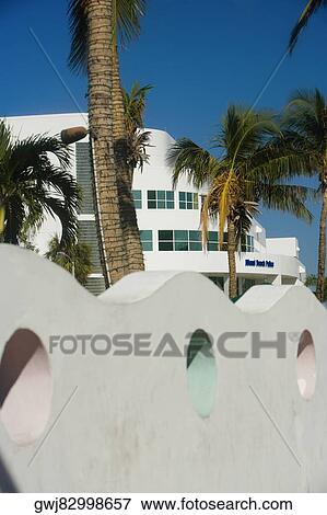 Palm trees in front of a building, Miami, Florida, USA View Large Photo Image Stock Photo - Palm trees in front of a building, Miami, Florida, USA. Fotosearch