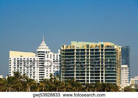 Palm trees in front of multi-storeyed buildings, Miami, Florida, USA View Large Photo Image Stock Image - Palm trees in front of multi-storeyed buildings, Miami, Florida, USA. Fotosearch
