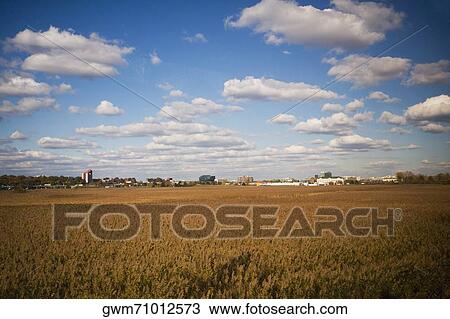 Stock Image - Panoramic view of a field. Fotosearch