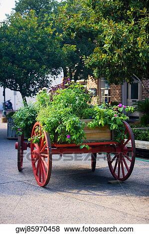 Potted plants on a cart, Savannah, Georgia, USA View Large Photo Image Stock Photo - Potted plants on a cart, Savannah, Georgia, USA. Fotosearch
