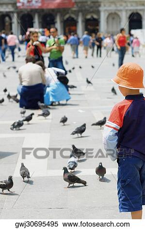 Rear view of a boy standing and looking at pigeons, Venice, Veneto, Italy View Large Photo Image Stock Photography - Rear view of a boy standing and looking at pigeons, Venice, Veneto, Italy. Fotosearch