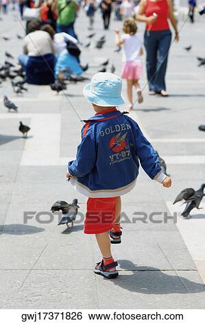 Rear view of a boy walking towards pigeons, Venice, Veneto, Italy View Large Photo Image Stock Photograph - Rear view of a boy walking towards pigeons, Venice, Veneto, Italy. Fotosearch
