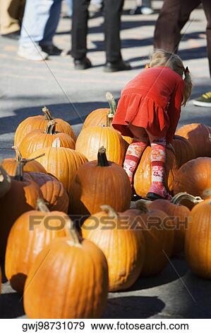 Rear view of a girl bending over a heap of pumpkins View Large Photo Image Stock Photo - Rear view of a girl bending over a heap of pumpkins. Fotosearch