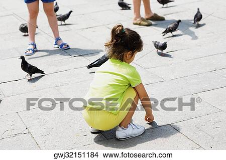 Picture - Rear view of a girl crouching beside pigeons, Venice, Veneto, Italy. Fotosearch