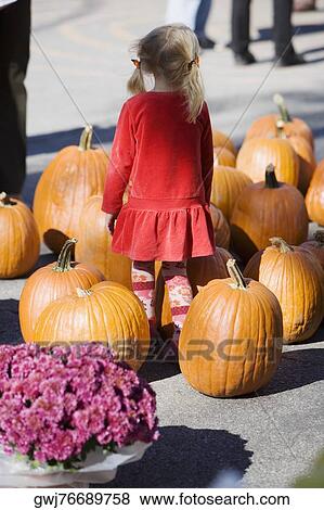 Stock Photo - Rear view of a girl standing with a heap of pumpkins. Fotosearch