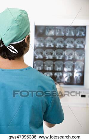 Rear view of a male doctor examining an X-Ray View Large Photo Image Stock Photograph - Rear view of a male doctor examining an X-Ray. Fotosearch