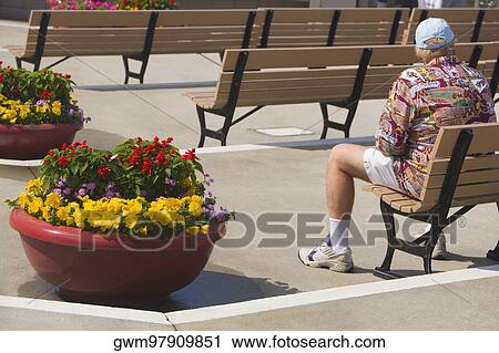 Rear view of a man sitting on a bench View Large Photo Image Stock Image - Rear view of a man sitting on a bench. Fotosearch