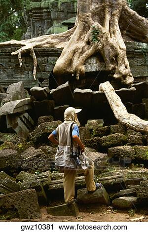Rear view of a man standing in front of a temple, Ta Prohm Temple, Angkor, Siem Reap, Cambodia View Large Photo Image Stock Image - Rear view of a man standing in front of a temple, Ta Prohm Temple, Angkor, Siem Reap, Cambodia. Fotosearch