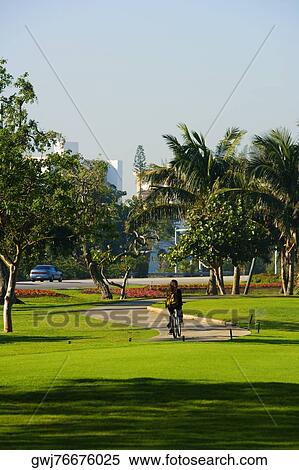 Stock Photography - Rear view of a person cycling in the park, Miami, Florida, USA. Fotosearch