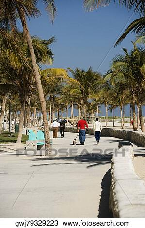 Rear view of tourists walking on the beach, Miami Beach, Florida, USA View Large Photo Image Stock Image - Rear view of tourists walking on the beach, Miami Beach, Florida, USA. Fotosearch