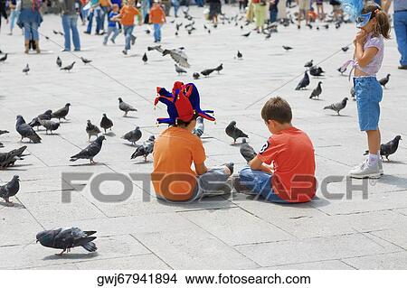 Rear view of two boys sitting with pigeons in front of them, Venice, Veneto, Italy View Large Photo Image Picture - Rear view of two boys sitting with pigeons in front of them, Venice, Veneto, Italy. Fotosearch