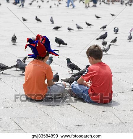 Rear view of two boys sitting with pigeons in front of them, Venice, Veneto, Italy View Large Photo Image Stock Photo - Rear view of two boys sitting with pigeons in front of them, Venice, Veneto, Italy. Fotosearch