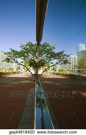 Stock Image - Reflection on a metallic structure, Miami, Florida, USA. Fotosearch