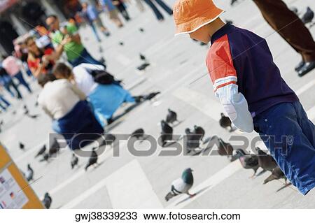 Side profile of a boy standing and looking at pigeons, Venice, Veneto, Italy View Large Photo Image Stock Image - Side profile of a boy standing and looking at pigeons, Venice, Veneto, Italy. Fotosearch