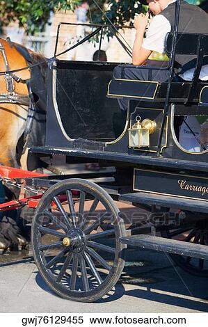 Side profile of a man sitting on a horse cart, Savannah, Georgia, USA View Large Photo Image Stock Photography - Side profile of a man sitting on a horse cart, Savannah, Georgia, USA. Fotosearch