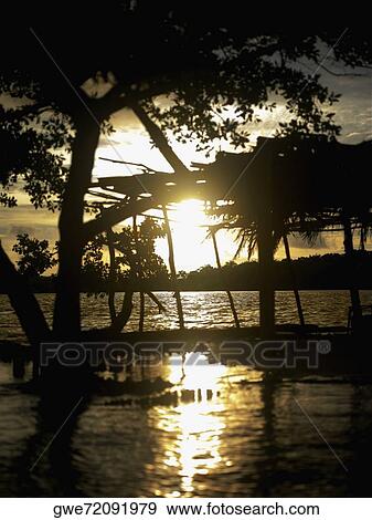 Stock Photo - Silhouette of trees in the river at dusk. Fotosearch