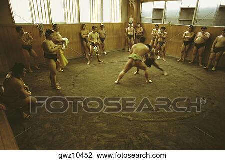 Stock Image - Sumo wrestlers practicing in a ring, Tokyo Prefecture, Japan. Fotosearch