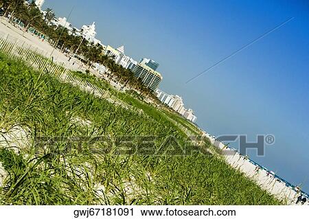 Tourists on the beach, Miami Beach, Florida, USA View Large Photo Image Stock Image - Tourists on the beach, Miami Beach, Florida, USA. Fotosearch