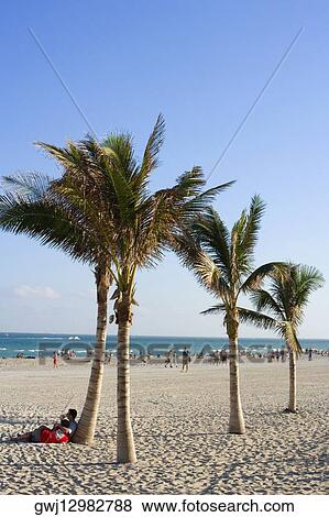 Tourists on the beach, Miami Beach, Florida, USA View Large Photo Image Stock Photo - Tourists on the beach, Miami Beach, Florida, USA. Fotosearch