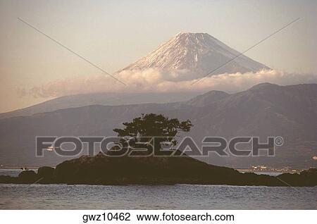 Tree on an island with a mountain in the background, Mt Fuji, Suruga Bay, Shizuoka Prefecture, Japan View Large Photo Image Stock Image - Tree on an island with a mountain in the background, Mt Fuji, Suruga Bay, Shizuoka Prefecture, Japan. Fotosearch
