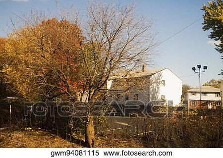 Stock Photography - Trees in front of a house. Fotosearch