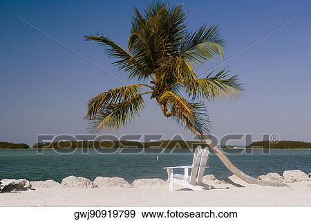 Two empty adirondack chairs and a palm tree on the beach View Large Photo Image Stock Photo - Two empty adirondack chairs and a palm tree on the beach. Fotosearch