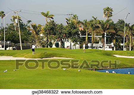 Two men standing in a field in front of a building, Miami, Florida, USA View Large Photo Image Stock Image - Two men standing in a field in front of a building, Miami, Florida, USA. Fotosearch