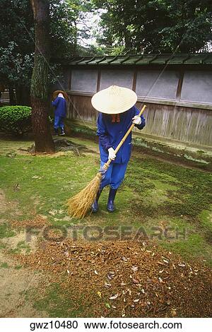 Two people cleaning a garden, Kenrokuen Garden, Kanazawa, Ishikawa Prefecture, Japan View Large Photo Image Stock Image - Two people cleaning a garden, Kenrokuen Garden, Kanazawa, Ishikawa Prefecture, Japan. Fotosearch