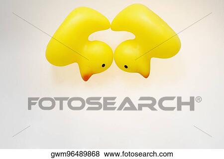 Two rubber ducks on a white background View Large Photo Image Stock Photo - Two rubber ducks on a white background. Fotosearch