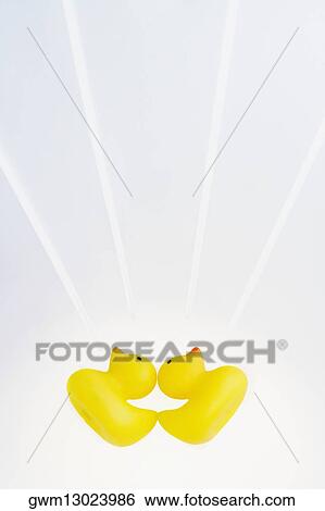Two rubber ducks on a white background View Large Photo Image Stock Photograph - Two rubber ducks on a white background. Fotosearch