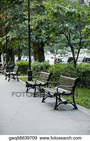 Benches at the roadside in a park View Large Photo Image Stock Photo - Benches at the roadside in a park. Fotosearch
